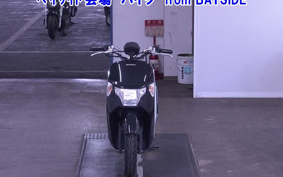 HONDA DUNK