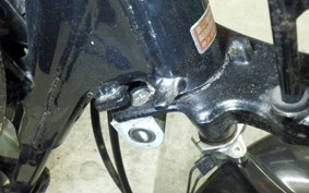 HONDA APE 100 2007 HC07