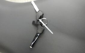 KAWASAKI VERSYS A 2025 LE650H