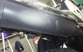 YAMAHA TRICKER DG10J