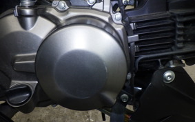 KAWASAKI Z125 PRO BR125H