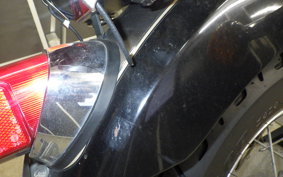 YAMAHA VIRAGO 250 2021 3DM