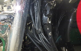 KAWASAKI W800 2024 EJ800E