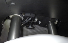 KAWASAKI ZX 1400 NINJA R A 2021