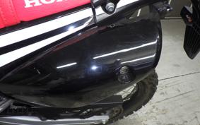 HONDA CRF250 RALLY A 2011 MD44