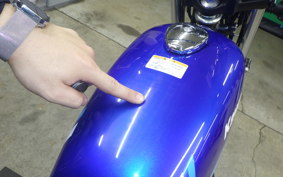 KAWASAKI 250TR 2021 BJ250F