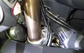 TRIUMPH DAYTONA 675 2011