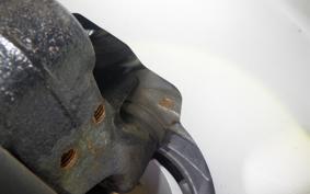 HONDA ZOOMER 2025 AF58