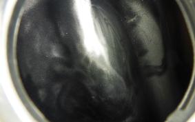 HONDA CB400 N 2026 CB400N