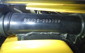 SUZUKI PE250 2025 PE250