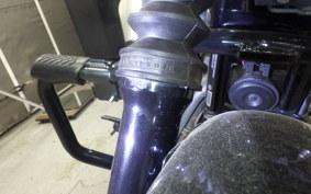 HARLEY XL1200NS 2019