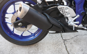 YAMAHA MT-25 RG43J