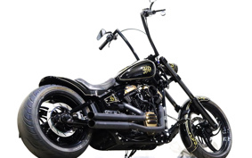HARLEY FXBRS 2021 YHK