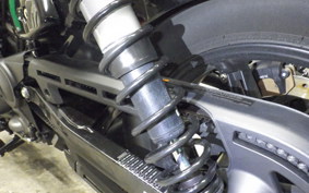 HARLEY RH975 2022