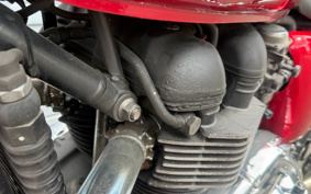 TRIUMPH BONNEVILLE T100 2013 TJ9157