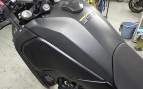 YAMAHA TENERE 700 2021 DM09J