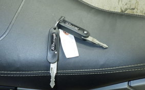 BENELLI レオンチーノ250 1996