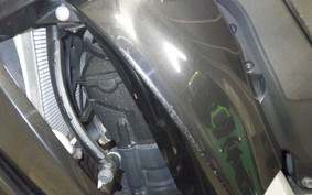 KAWASAKI NINJA 1000 A 2015