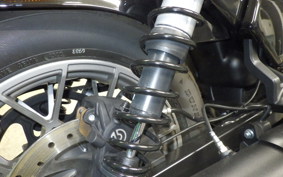 HARLEY RH975S 2024