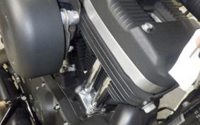 HARLEY XL883N 2019