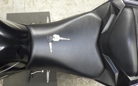 KAWASAKI NINJA 250 ABS