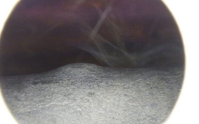 HONDA CBR600RR GEN 2 2005 PC37