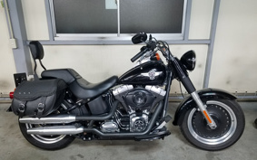 HARLEY  HARLEY FLSTFB 2010 JN5