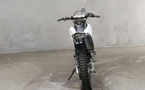 YAMAHA WR250R DG15J