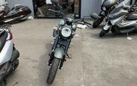 YAMAHA MT-25 RG74J
