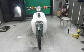 HONDA C50 SUPER CUB 2026 C50