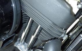 HARLEY XL1200NS 2019