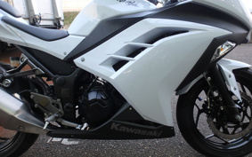 KAWASAKI NINJA 250 EX250L