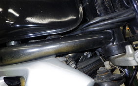 SUZUKI GSX250FX