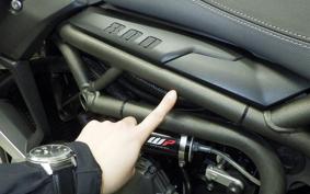 TRIUMPH TIGER 800 2019