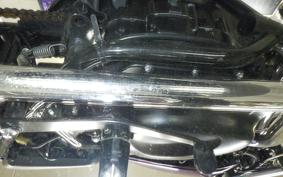 KAWASAKI 250TR 2024 BJ250F