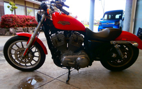 HARLEY XL883L 2009 CR2