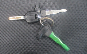 YAMAHA  AXIS Z SED7J