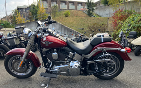 HARLEY HARLEY FLSTC 103 2016 BXV