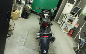 SUZUKI GSX-R125 2007 DL33B