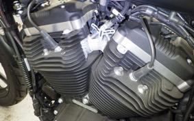 HARLEY XL883N 2019