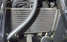 HONDA CBR250R GEN 3 MC41