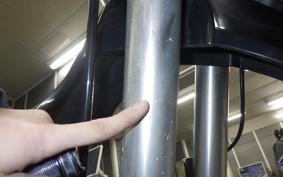 KAWASAKI KLX250D TRACKER X 2022 LX250V