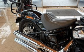 HARLEY FXST1340-1450 2023 BVJ