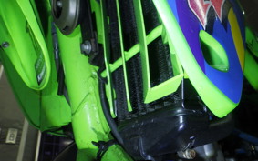 KAWASAKI KDX250SR 2025 DX250F