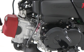 HONDA  MONKEY KUMAMONVER AB27
