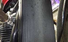 TRIUMPH SPEED TWIN 900 2024