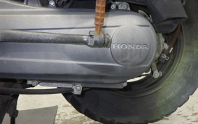 HONDA ZOOMER 2019 AF58