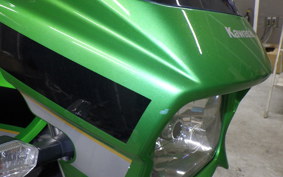 KAWASAKI ZRX1200 D 2013 ZRT20D