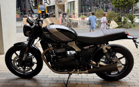TRIUMPH SPEED TWIN 900 2026 DP0G21