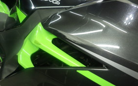 KAWASAKI NINJA 400 2019 EX400G